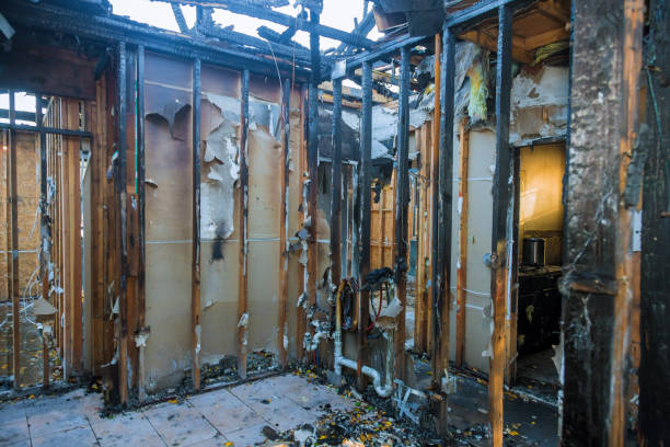 Professional Fire Damage Removal technician working in Waldorf, MD